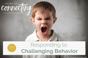 Responding to Challenging Behavior