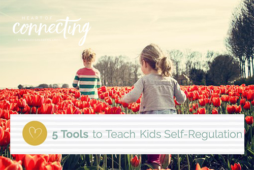 5 Tools to Teach Kids Self Regulation