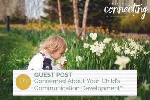 Guest post by Natalie Waldman – speech &amp; language pathologist and owner of Well Spoken Therapy